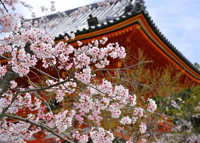 Stay Sakura Kyoto Suzaku Oji